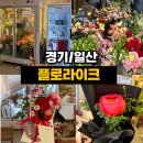 플로라이크 | <경기/일산> 일산 정발산 꽃집 추천 플로라이크｜어버이날 꽃다발 후기 + 24시간 무인 꽃자판기까지!