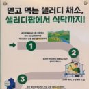 샐러디 고잔중앙점