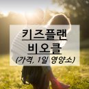 아이클유치원 | 키즈플랜 비오클 가격 (아연, 마그네슘, 비타민D 1일 영양기준치 함유)