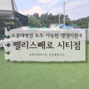 펠리스빼로 이미지