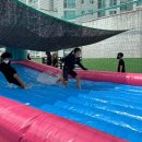 용인대 한미태권도 이미지