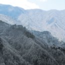 드림라이더