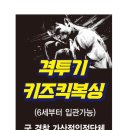 도일격투기 네이버블로그