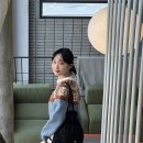 수니아 이미지