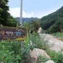 고향펜션캠핑 이미지