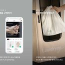 고즈컴퍼니