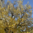 정읍동초등학교 이미지