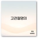 김태영정형외과 | 고관절 명의 윤택림 김태영 서울 성모병원 부산 고관절 완벽 정리