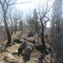 돌석이네해장국 이미지