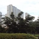 서광프리메라 이미지