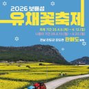 진도보배섬특산품 | 전남 진도군 가볼만한 곳 | 보배섬 유채꽃 축제 (feat. 관매도 봄여행 총정리)