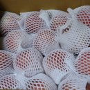 영승농장 이미지