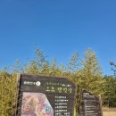 담양 오토캠핑장 완전정복 — 담양 금성산성 오토캠핑장 초보 가이드