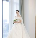 미루던 대구 본식스냅 계약 후기📸 (프로젝트88/석그래피/로우모먼트/스튜디오41/노벨라스냅) + 견적포함