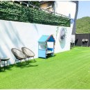 여수 도그펄슨 애견수영장펜션 이미지