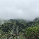 농업회사법인 장성 주식회사 이미지