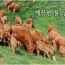 건우축산 이미지