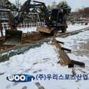 신성초등학교 이미지