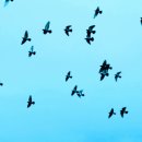 새에덴공인중개사사무소 이미지