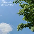 브레인피디 네이버블로그