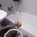 서초구변기막힘
