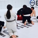 대덕초등학교도룡분교 이미지