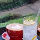 오아이커피(OI coffee) 이미지