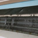 수원-0739 이미지