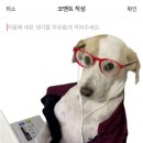 그냥개가좋아 | 토이스토리5 개짧은 후기