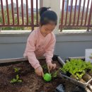 성현수정 이미지