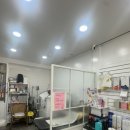 펫그루밍바이순 이미지