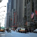 뉴욕매니아 이미지