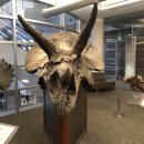 3D필드로 이미지