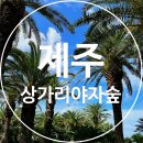 고하농장 이미지