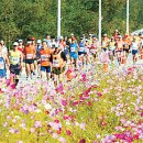 파주통일경기-파주-통일14 이미지