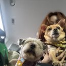 재인스가든 이미지