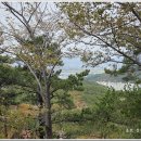 백양산임도(2) 이미지