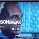 나섬컴퍼니