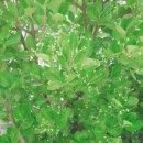 파란하늘빛어린이집 이미지