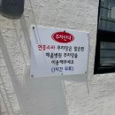 연홍냉면 | 포항 동빈동 소바맛집 연홍소바 솔직후기
