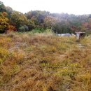 거창전원공인중개사사무소 이미지