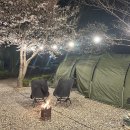 자연속캠핑장 | 밀양 자연속캠핑장 아이와 후기_벚꽃캠핑 만개 시기(리모델링 전)