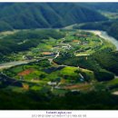 금학산 목장 이미지