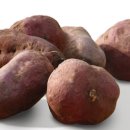 우리건강식품 이미지