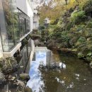 메종호텔 | 제주 메종글래드 호텔 후기