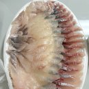 서귀포어시장 | 제주도 서귀포 회포장 중문회어시장 :: 저렴한 횟집 찐추천