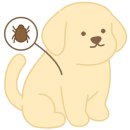 청소코끼리주식회사