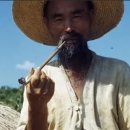 1183회 1184회 천기수와 신서풀이(1184회 6차 추가풀이) 이미지