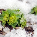 아늑한쉼터 이미지