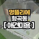 멍뜰리에 이미지